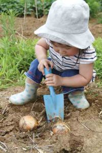 Teaching Gardening With Kids Image